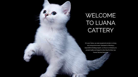 Скриншот сайта luanacattery.com